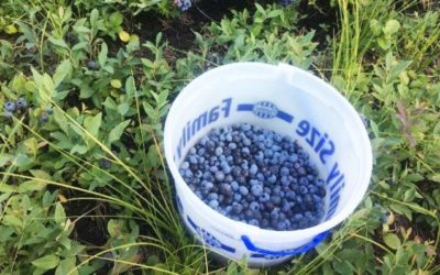 Small businesses search for employees