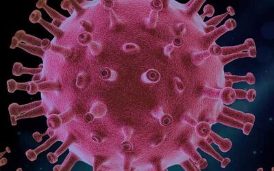 Another year in COVID