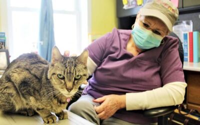 Gloria Caswell: The heart behind the shelter