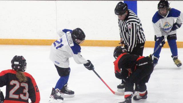 Youth hockey teams qualify for district tournaments