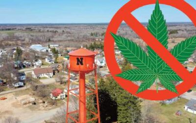 New cannabis cash payouts