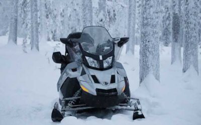 Top of the Lake snowmobile show this weekend