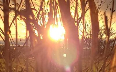 Will brownouts rain on our summer?