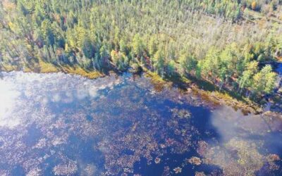 The McMahon Lake Preserve