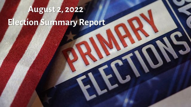 August 2 election results from Luce County