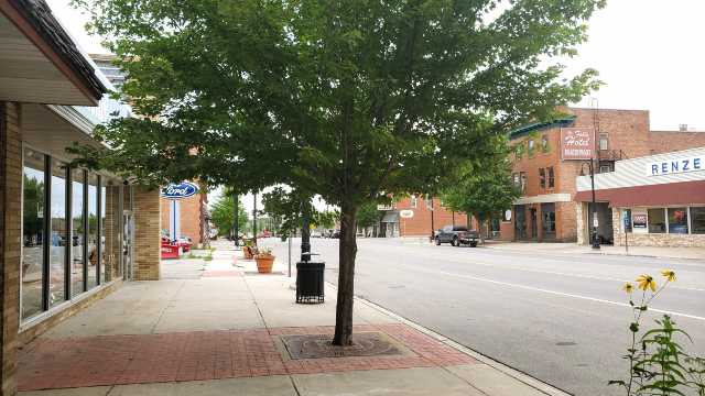 Downtown trees to be removed this fall
