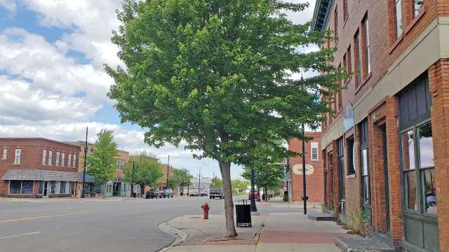Newberry’s trees to stay for now