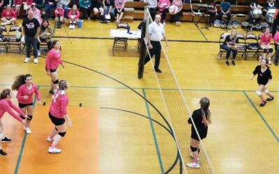 Dig Pink game set for Tuesday in Engadine
