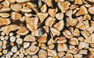 Fuelwood permits available for state forests