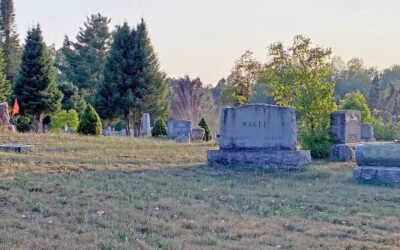 Forest Home Cemetery under scrutiny
