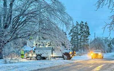 Recent ice storm creates chaos