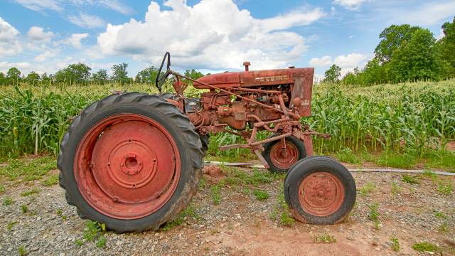 Tractor parade, races, at Engadine Old Iron Show
