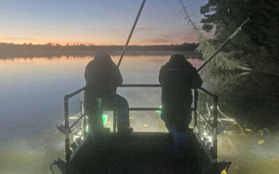 Electrofishing surveys study local walleye population