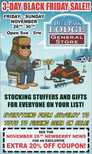 3 Day Black Friday Sale