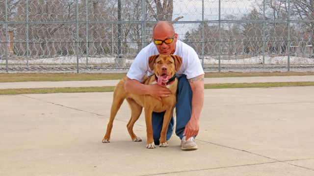 Shelter’s partnership with prison makes good dogs even better