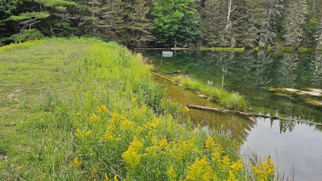 Public meeting scheduled to discuss removal of three U.P. area dams